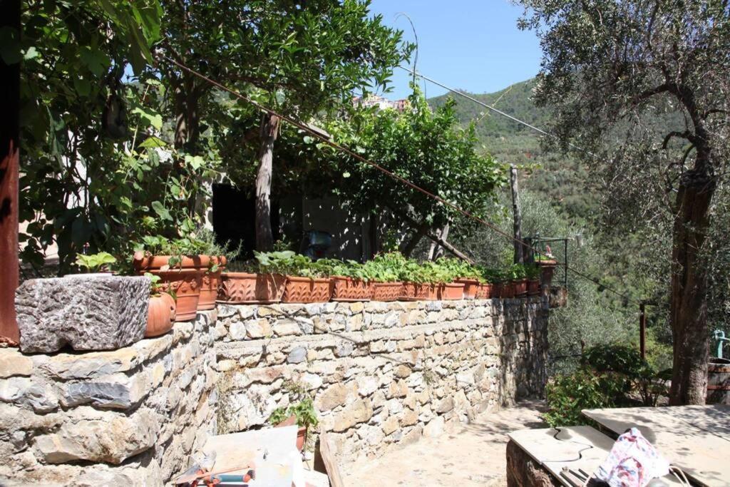 Le Case Della Lizza - Casa Blu ليفانتو المظهر الخارجي الصورة